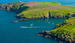 Skomer Island