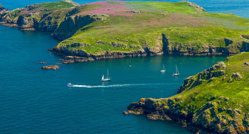 Skomer Island