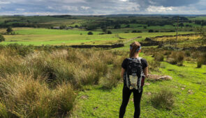 Farmland views near Horneystead Farm