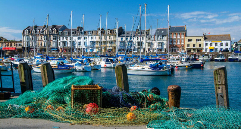 Moored yachts and sailing boats in the harbour of Ilfracombe, Devon