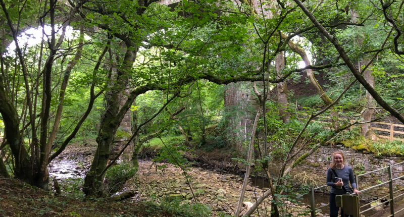 Walking from Slaggyford to Greenhead