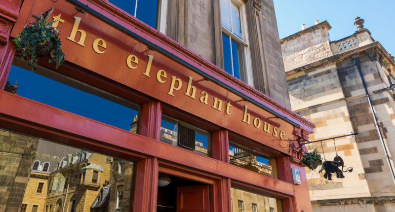 The Elephant House, Birthplace of the Harry Potter books