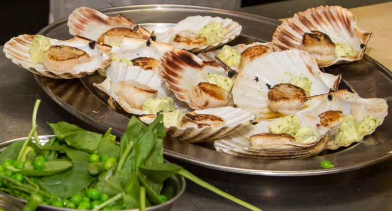 Scallops