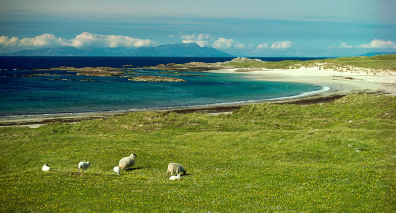 Cliad Beach on the Isle of Coll