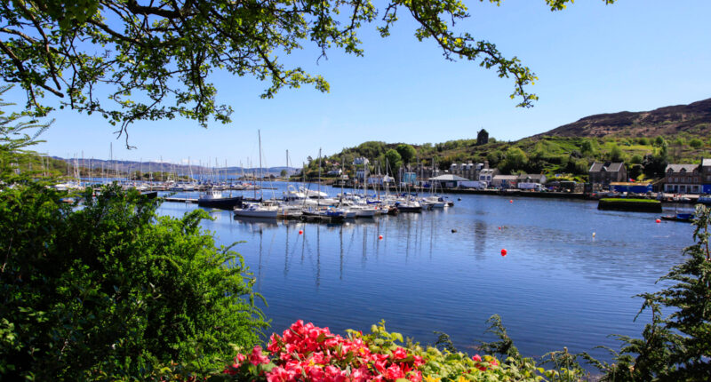 Tarbert harbour