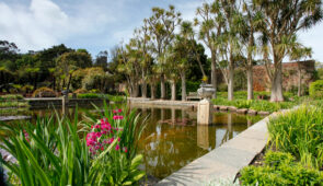 Logan Botanic Garden