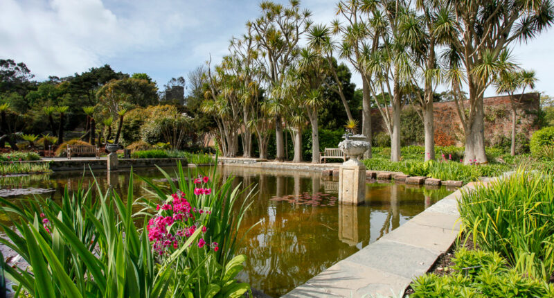 Logan Botanic Garden