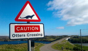 Otter Crossing, Outer Hebrides