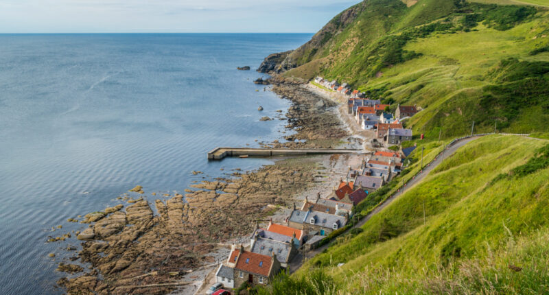 Crovie