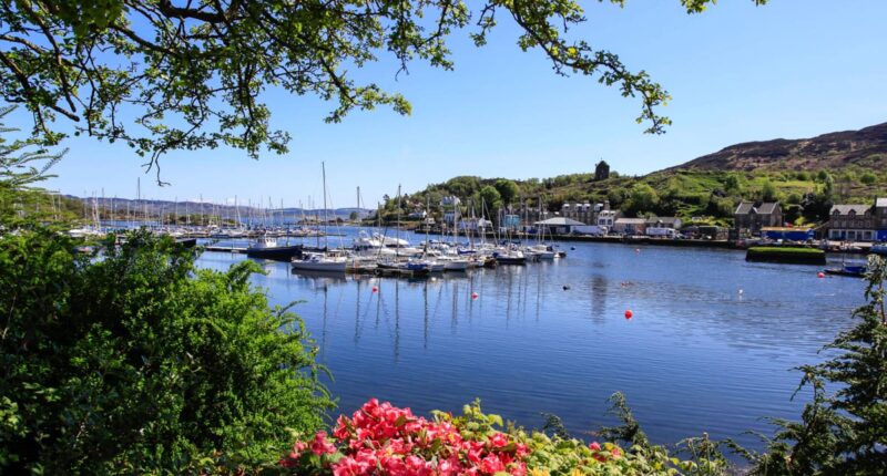 Boats in Tarbert Harbour, Loch Fyne