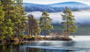 Scenery in The Cairngorms National Park