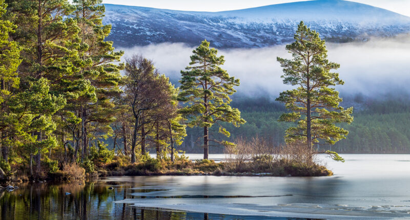 Scenery in The Cairngorms National Park