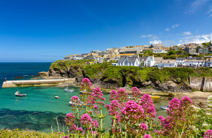 Wildflowers at Port Isaac