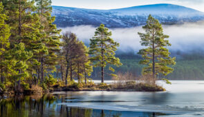 Winter scenery in the Cairngorms National Park