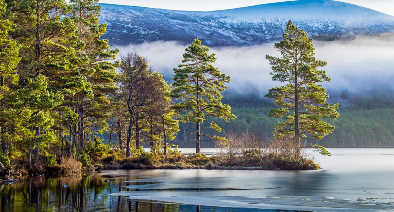 Winter scenery in the Cairngorms National Park