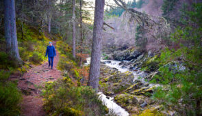 Winter walk from Logie Steading to Randolph's Leap