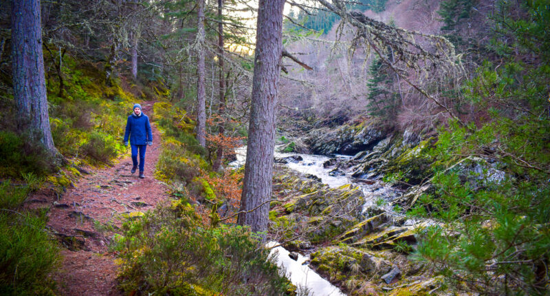 Winter walk from Logie Steading to Randolph's Leap