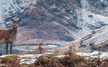 Glen Etive, Scottish Highlands