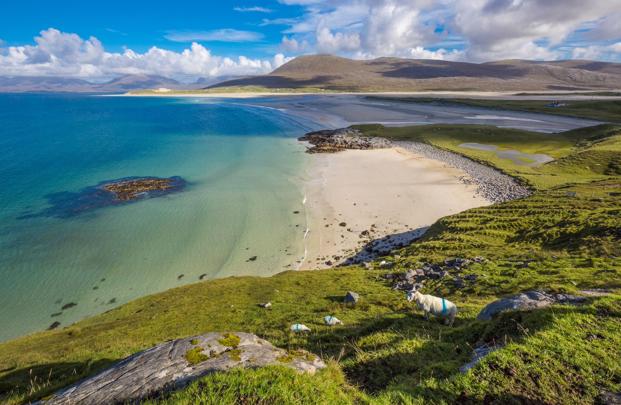 scottish island trips