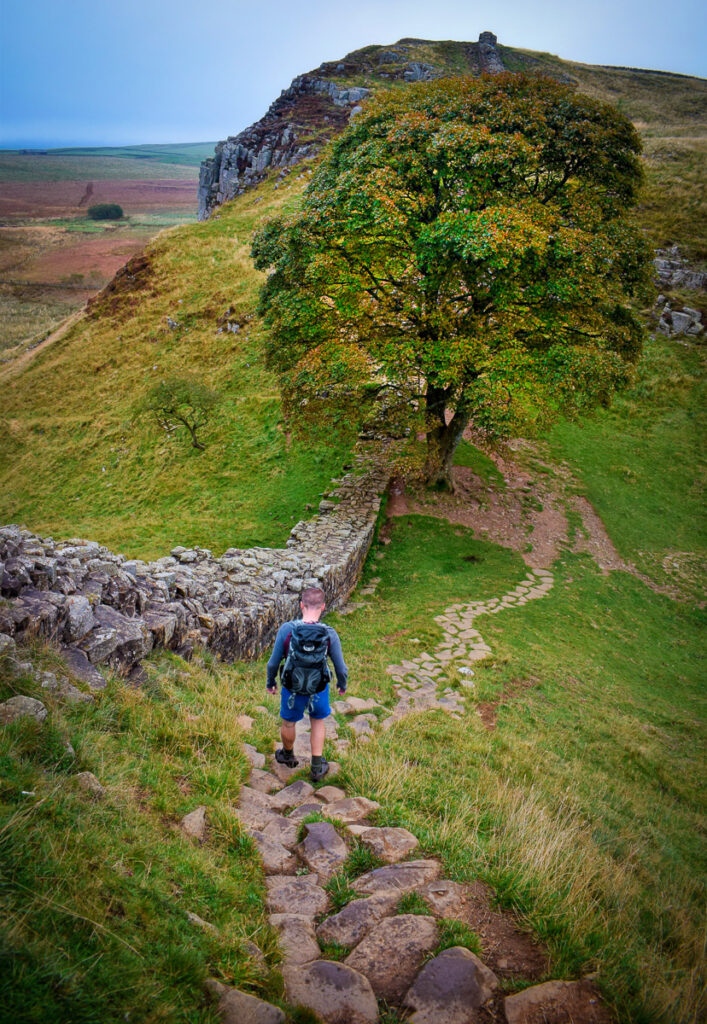 Sycamore Gap Hadrian's Wall Path