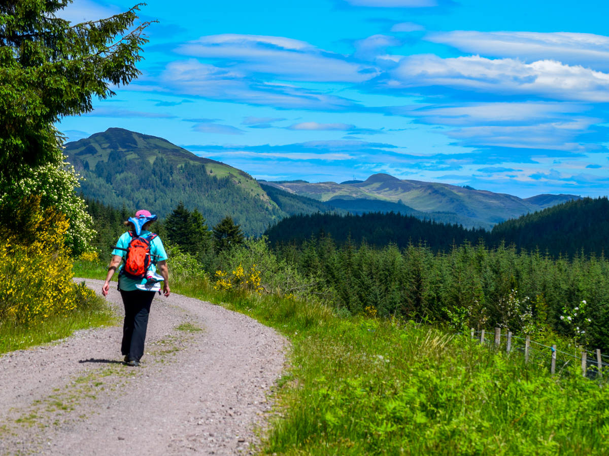 Rob Roy Way - Drymen to Aberfoyle