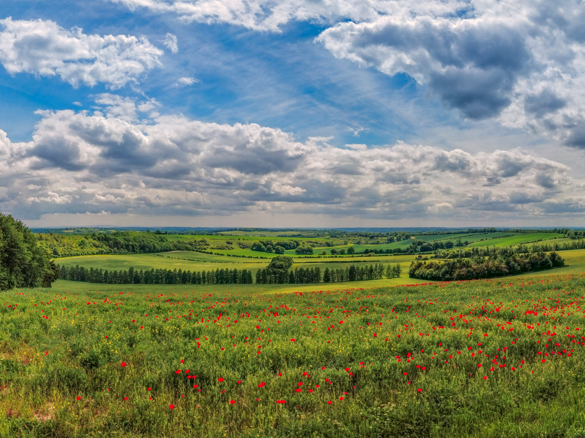 South Downs Way