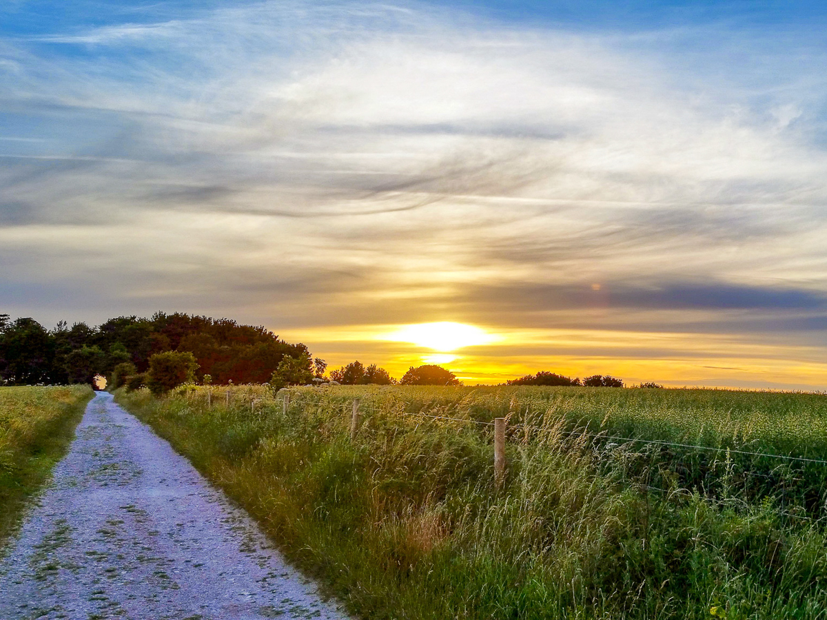 South Downs Sunst