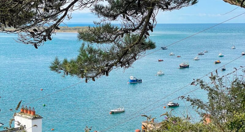 Aberdyfi (credit - Zoe Kirkbride)