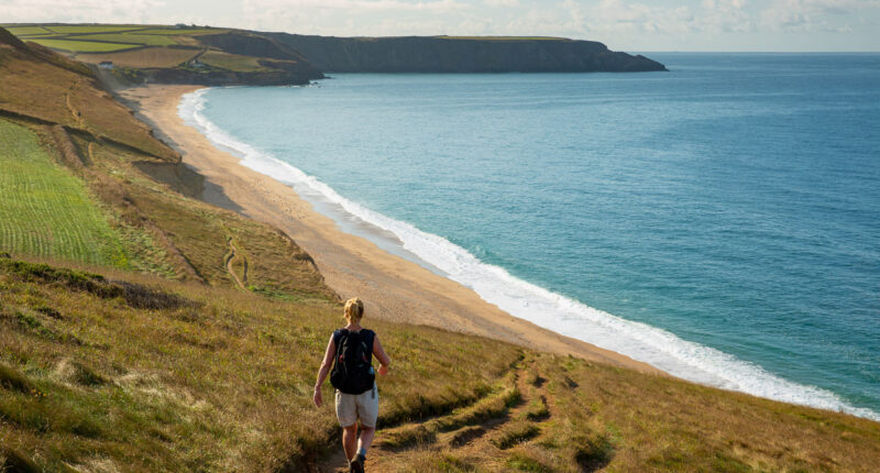 Coastal path above Porthleven Sands in Cornwall