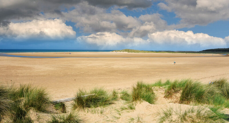 Holkham Beach in Norfolk (© Holkham Estate)