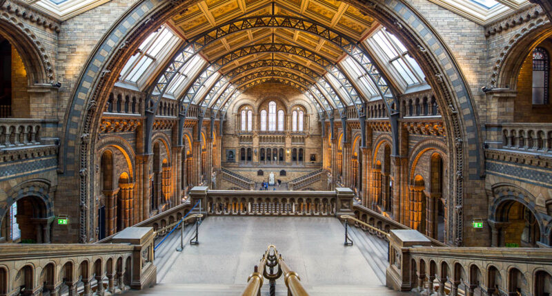 The Natural History Museum, London