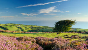 Porlock Common, Exmoor National Park