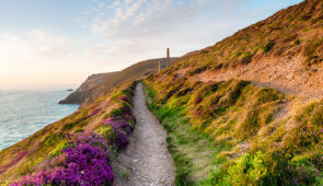 Summer on the Cornish Coast