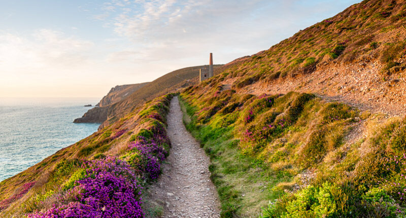 Summer on the Cornish Coast