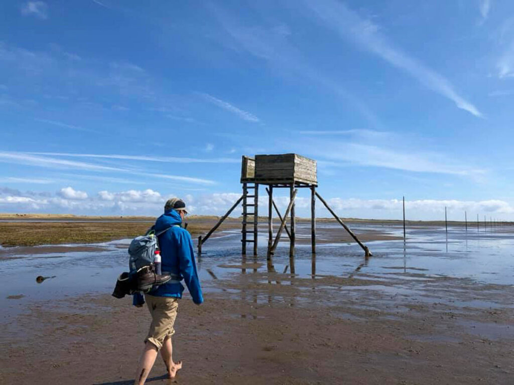 Crossing the Pilgrim's Path to Lindisfarne