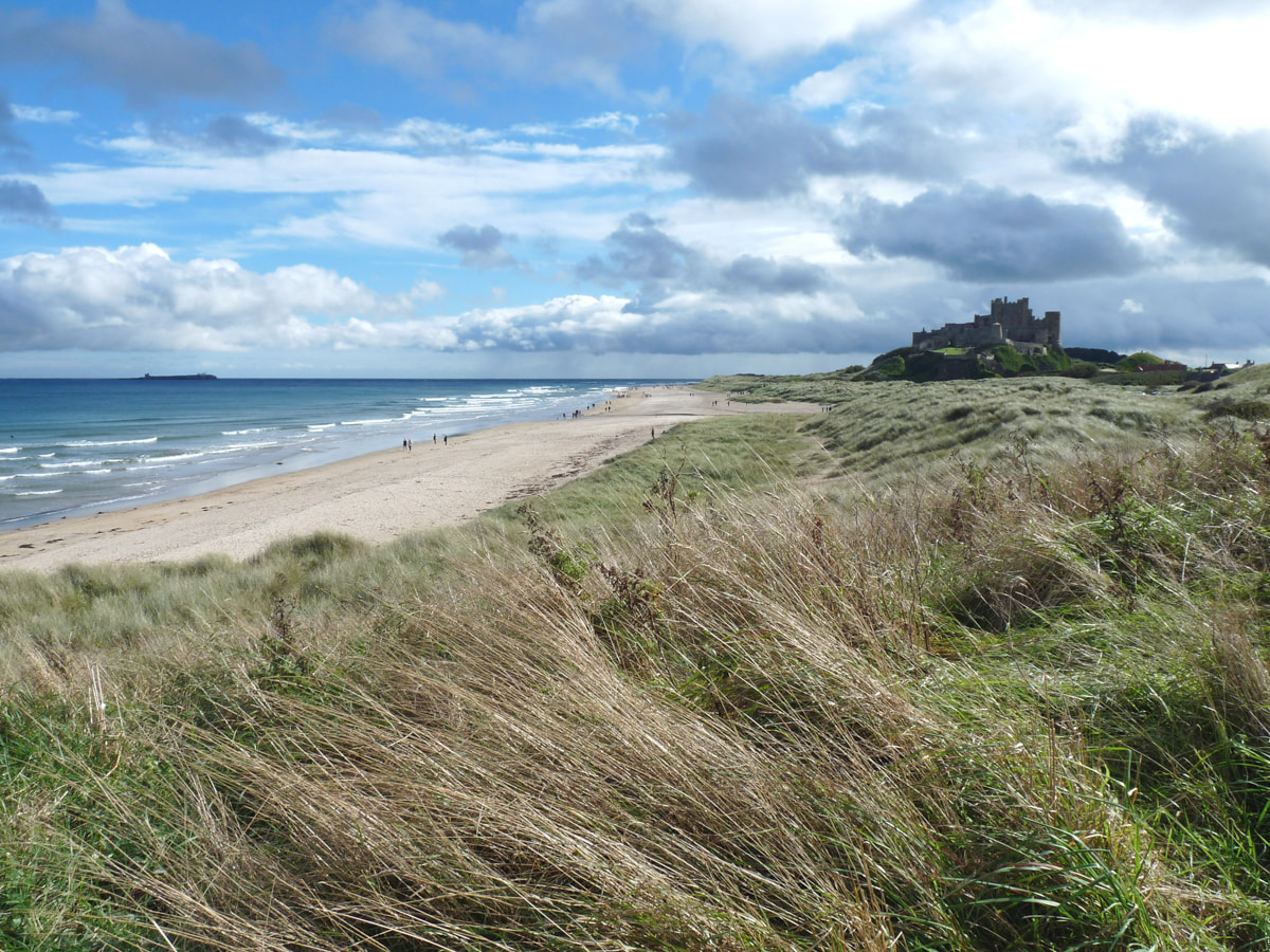 Bamburgh Castle on the Northumberland Coast Path (John Buckle)