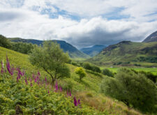 Beautiful landscape, Arran Coastal Way (Peter & Anne Backhouse)