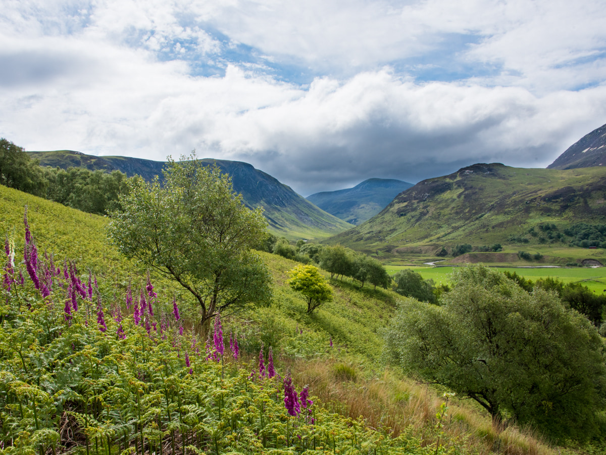 Beautiful landscape, Arran Coastal Way (Peter & Anne Backhouse)