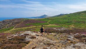 Absolute Escapes client walking the Pembrokeshire Coast Path
