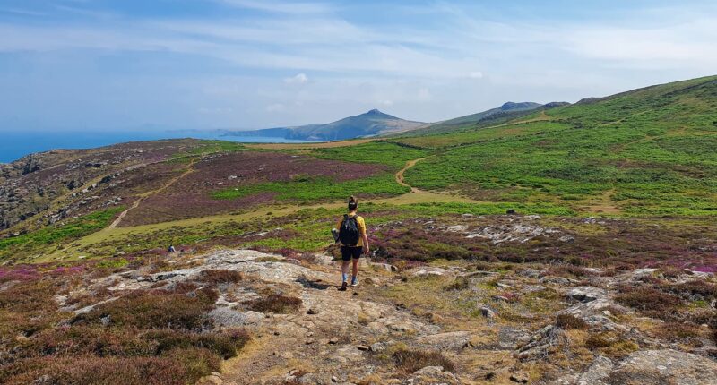 Absolute Escapes client walking the Pembrokeshire Coast Path