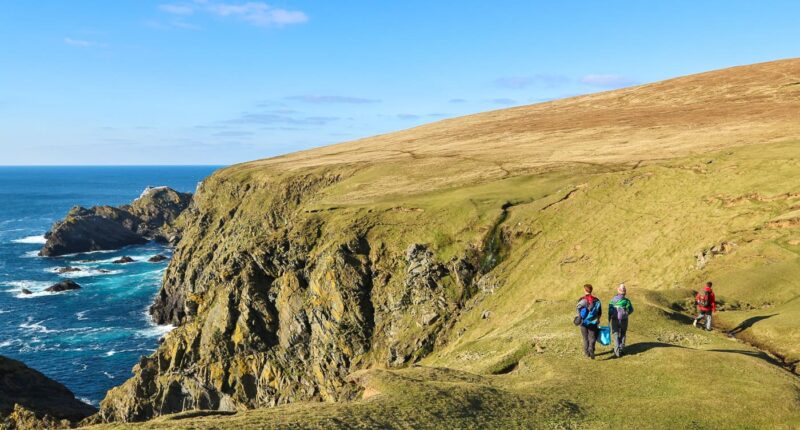 Hermaness National Nature Reserve, Unst, Shetland