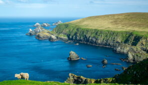 Hermaness National Nature Reserve, Unst, Shetland 2