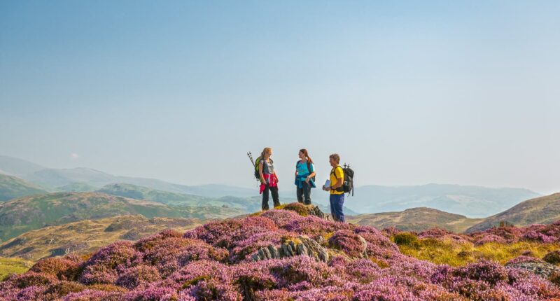 Walkers above Dovey estuary near Aberdovey, Snowdonia