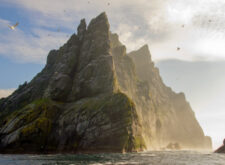 Northern gannets seen on the steep cliffs of St Kilda, Scotland