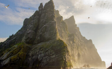 Northern gannets seen on the steep cliffs of St Kilda, Scotland