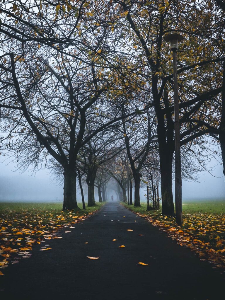 The Meadows, Edinburgh in the fog