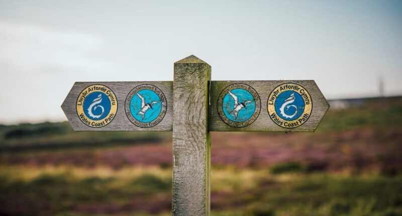 Isle of Anglesey and Wales Coast Path Waymarker