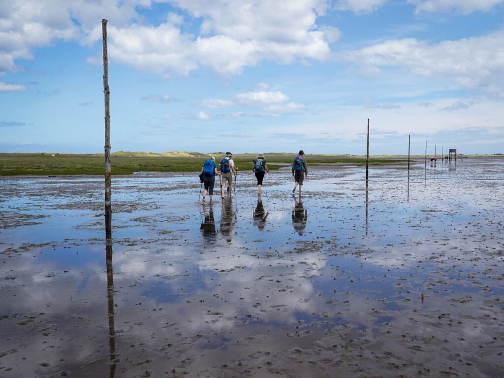 Tidal causeway crossing to Holy Island Lindisfarne on St Cuthbert's Way walking route