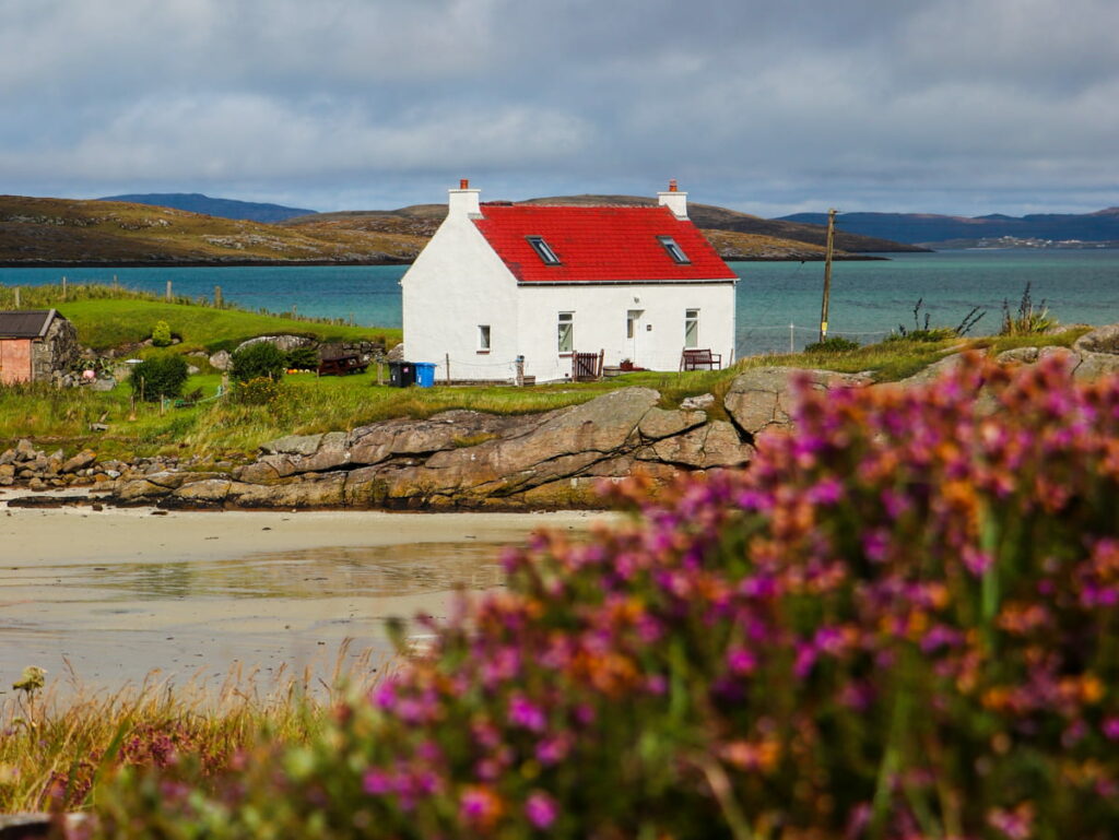 Scenic road trip view of traditional white cottage with red roof on Isle of Barra, Scotland, surrounded by purple heather and coastal landscapes - one of the best driving roads in Scotland