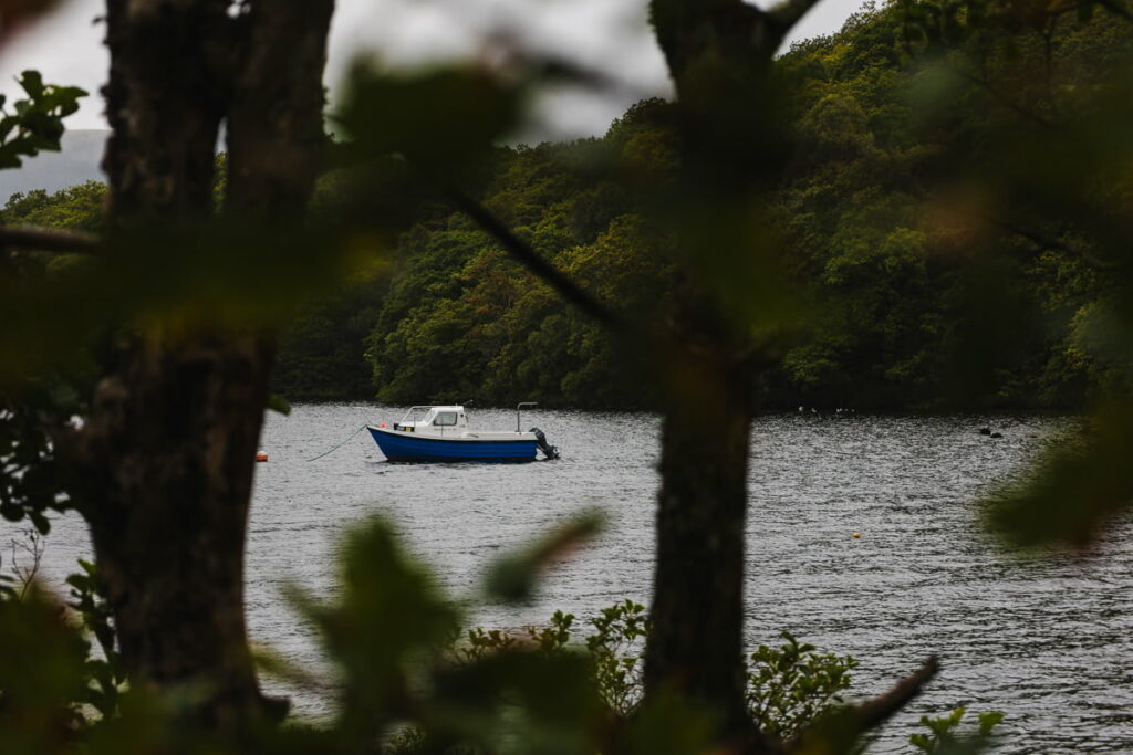 A small boat on Loch Lomond seen through overhanging branches, creating a natural frame – ideal for West Highland Way photos.